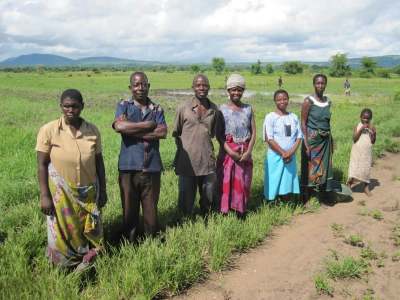 Image: rice farmers standing in a field kasfa malawi