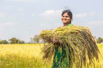Image: female rice worker india