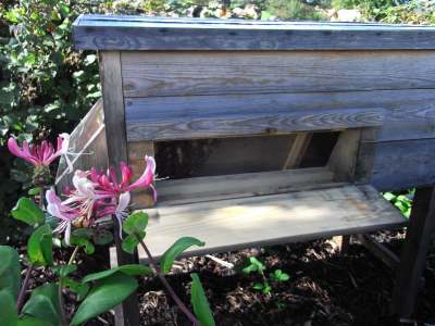 image: wooden beehive with bees inside with pink flowers in the left foreground