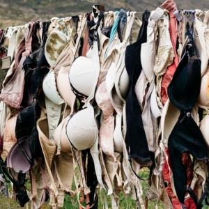 Image representing the Sustainable Underwear Brands shopping guide