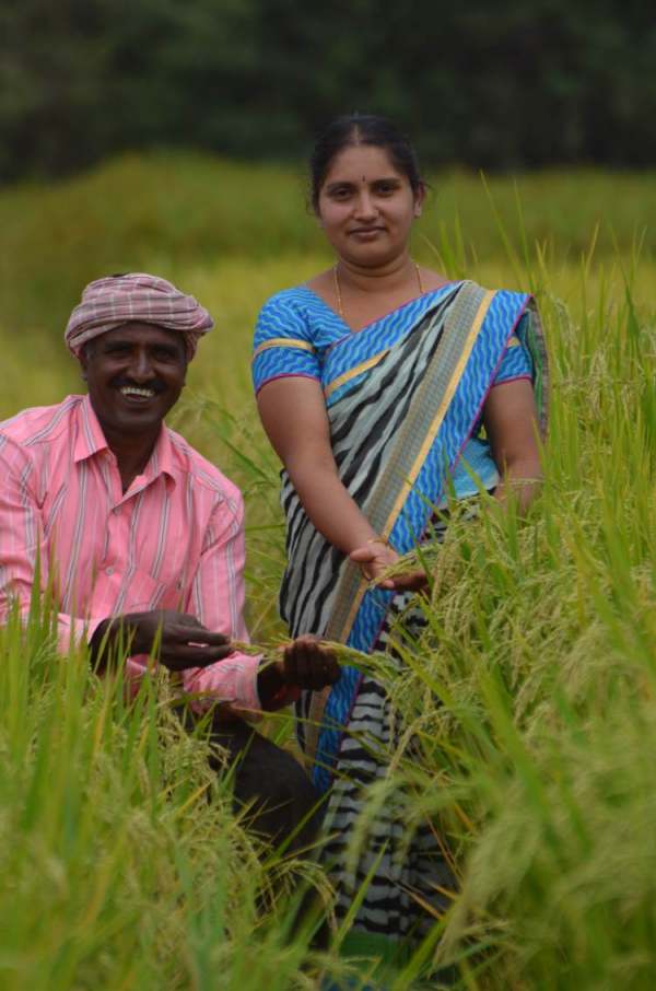 Image: female rice worker india couple in rice paddy