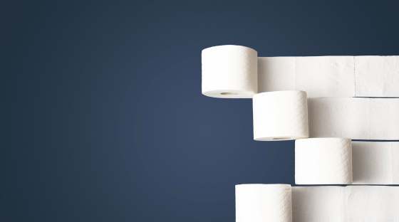 image: ethical eco toilet paper bathroom products