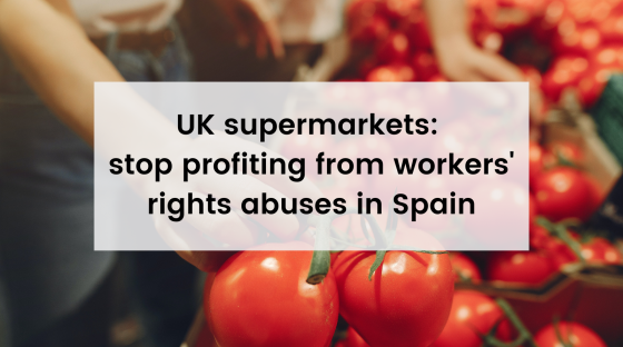 Image of tomatoes with text over top: uk supermarkets stop profiting from workers' rights abuses in Spain