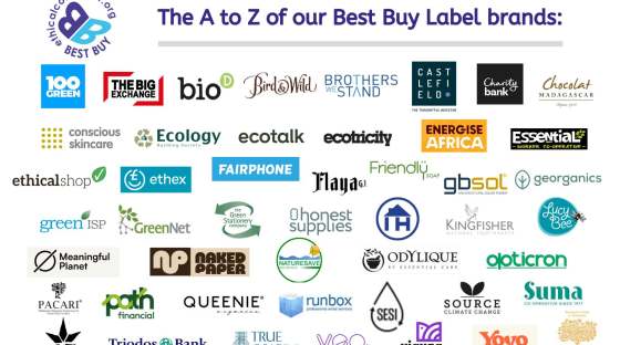 Logos of best buy brands. All are named in the text