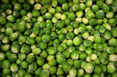 Image: brussel sprouts