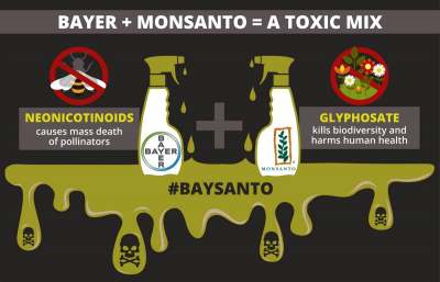infographic: baysanto neonicotinoids and glyphosate