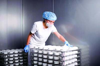 image: woman with traditional fermented cashew nut cheese showing vegan cheese manufacture