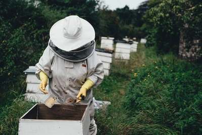 image: bee keeper how to help bees and pollinators save the bees
