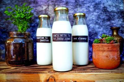image: three milk bottles labelled with anti dairy statements cows milk is for baby cows end clavery veganism is justice