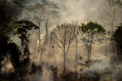 Image: Amazon rainforest on fire