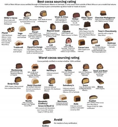 cocoa sourcing infographic