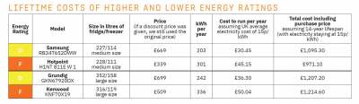 Table listing costs of high and low energy rated fridges