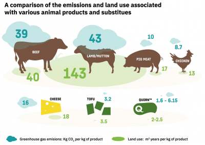 infographic with greenhoues gas emissions and land use of meat and dairy