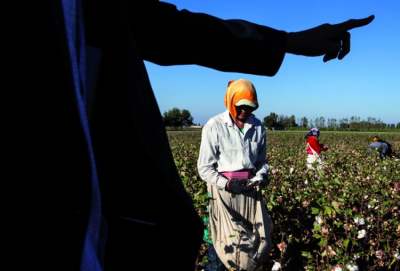 Person working in cotton fields in Uzbekistan