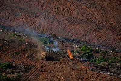 Deforestation fires burning in Amazon