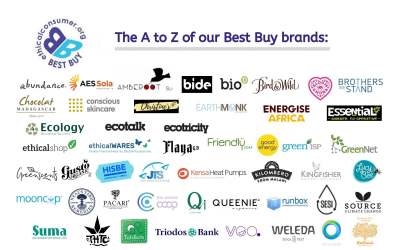 Graphic with logos for the best buy brands