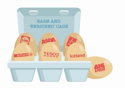 Illustration of box of eggs with supermarket names on