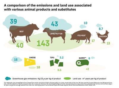 The inforgraphic compares emissions and land use for beef, lamb, pigs and chickens, with cheese, tofu and quorn. The figures are in the text on the web page,