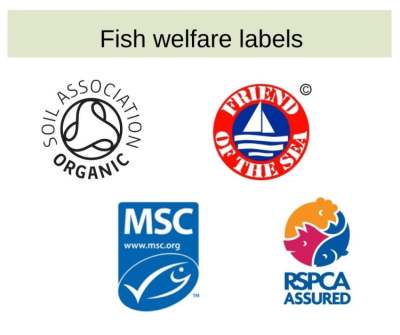 Logos of 4 fish welfare labels: Soil Association Organic, RSPCA Assured, Friend of the Sea, Marine Stewardship Council