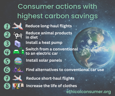 Infographic of top 8 consumer climate actions. All points are in the main text.