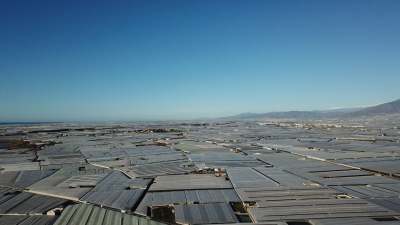 Landscape view of Almeria covered by greenhouses