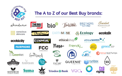 Infographic with logos of best buy label companies