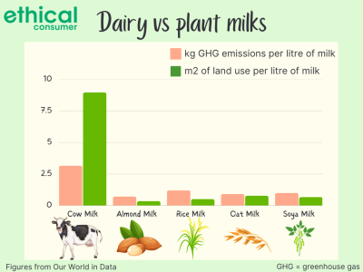 Infographic showing greenhouse gas emissions and land use for different milks. Figures in table on page.