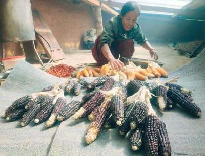 Woman crouching with pile of sweetcorn cobs on mat 