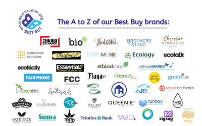 Graphic with logos of Best Buy labels 