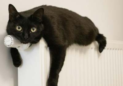 Black cat lying on top of house radiator