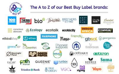 Logos of best buy brands. All are named in the text