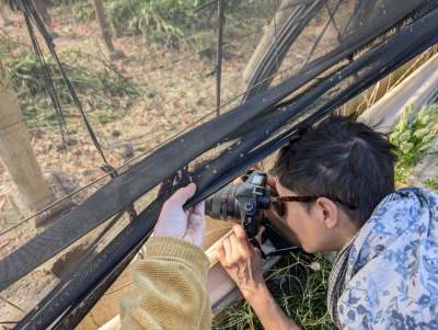 Person with camera photographing inside polytunnel