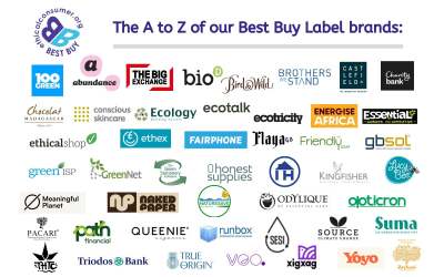 Logos of Best Buy brands. All listed on the page.