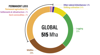 Graph of global forest loss by different causes (figures in the text)