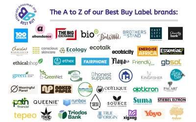 Logos of Best Buy brands. All listed on the page.