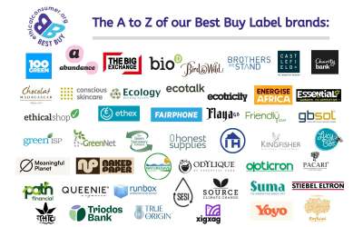 Logos of Best Buy brands. All listed on the page.