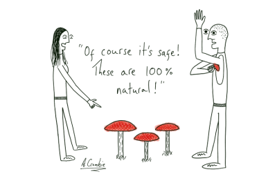 Cartoon of two people, one is using the poisonous red Fly Agaric mushroom as a deodorant because the other person said it's 100% natural