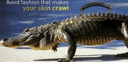 Image: PETA Crocodile Purse