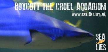 Image: Sealife Boycott Merlin Sea Lies