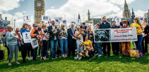 Image: boycott Dogs4us