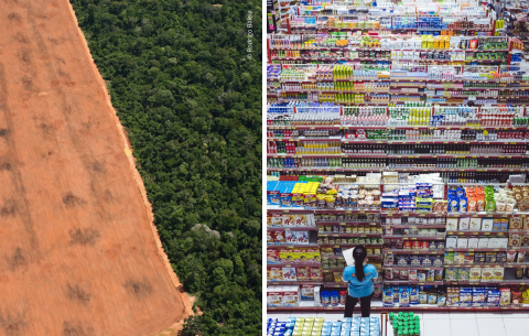 Brazillian agribusiness