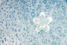 Image: shampoo bubbles with a flower 