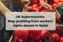 image: tomatoes  UK supermarkets stop profiting from workers rights abuses in spain