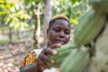 Rosine Bekoin Cocoa farmer