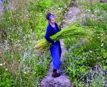Deborah harvesting weld 