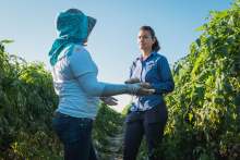 Worker talks with woman with a clipboard in a crop field