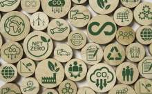 circular wooden discs with eco sustainable logos