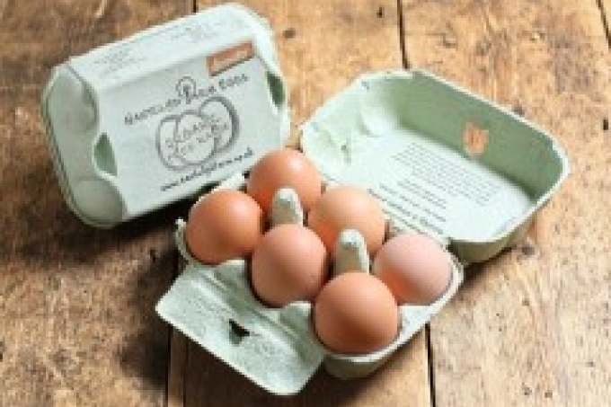 box of eggs from hens raised biodynamically