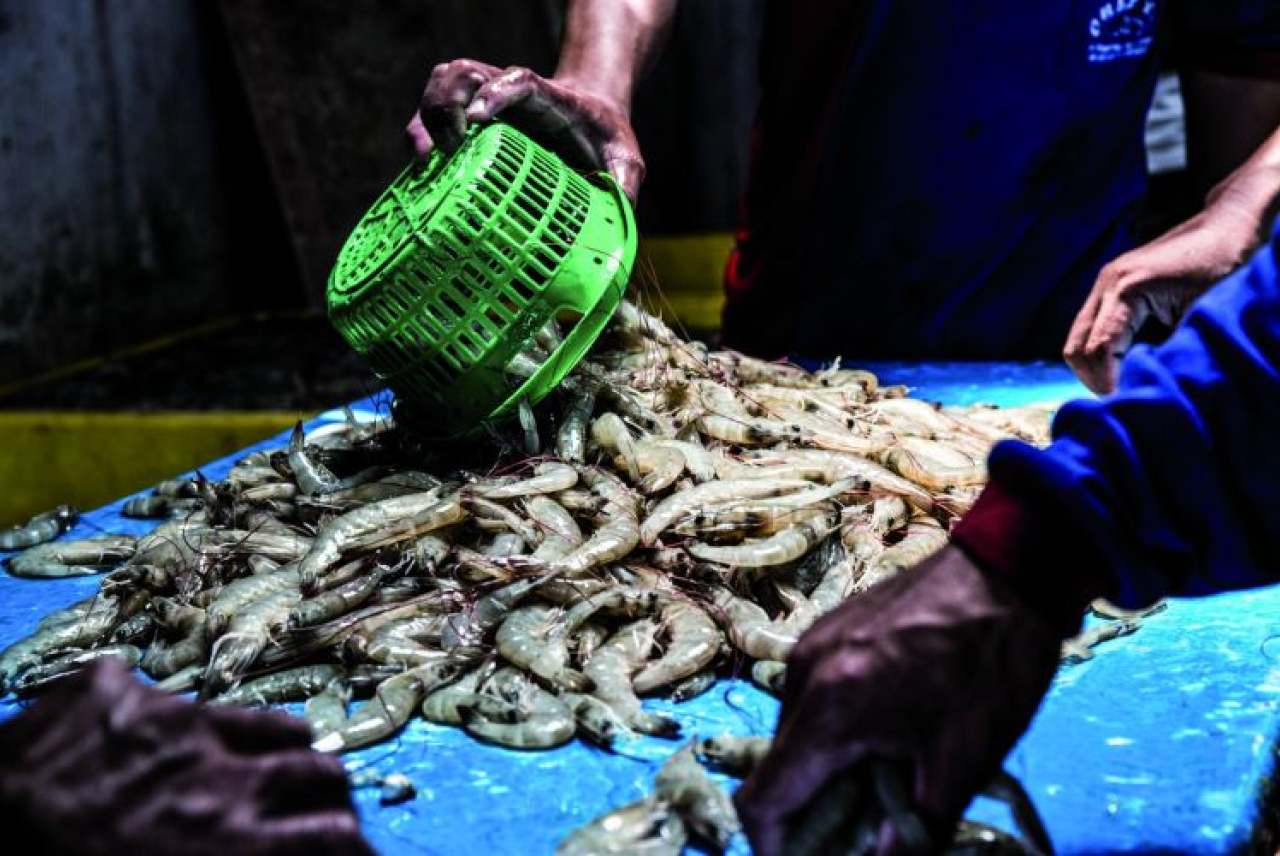 Image: supply chains in supermarkets