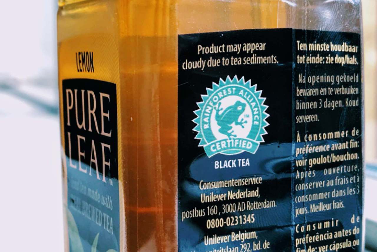 Rainforest Alliance Logo